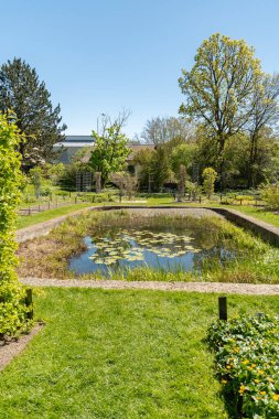 Saint Gallen, İsviçre, 27 Nisan 2024 Botanik Bahçesi bahar zamanı