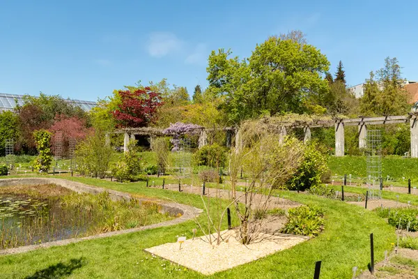 Saint Gallen, İsviçre, 27 Nisan 2024 İlkbahar zamanı botanik bahçesindeki renkli bir parkta