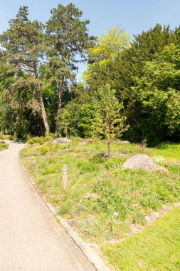 Zürih, İsviçre, 1 Mayıs 2024 Güneşli bir günde Botanik Bahçesi