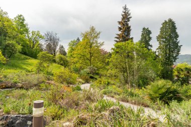 Zürih, İsviçre, 1 Mayıs 2024 Güneşli bir günde botanik bahçesindeki farklı tarlalar