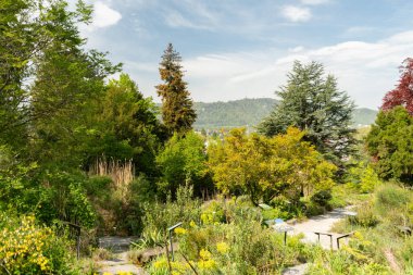 Zürih, İsviçre, 1 Mayıs 2024 Güneşli bir günde botanik bahçesindeki kırsal manzara