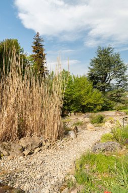 Zürih, İsviçre, 1 Mayıs 2024 Baharda güneşli bir günde botanik bahçesinde
