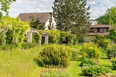 Saint Gallen, İsviçre, 18 Mayıs 2024 Botanik Bahçesi Baharı