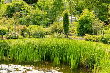 Saint Gallen, İsviçre, 18 Mayıs 2024 Botanik Bahçesi Baharı
