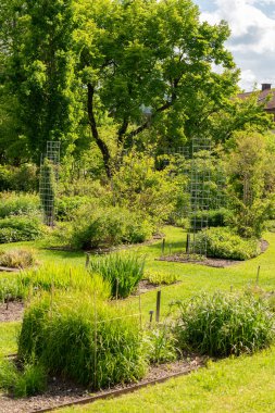Saint Gallen, İsviçre, 18 Mayıs 2024 Botanik Bahçesi Baharı