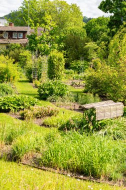 Saint Gallen, İsviçre, 18 Mayıs 2024 Botanik Bahçesi Baharı