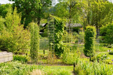 Saint Gallen, İsviçre, 18 Mayıs 2024 Botanik Bahçesi Baharı