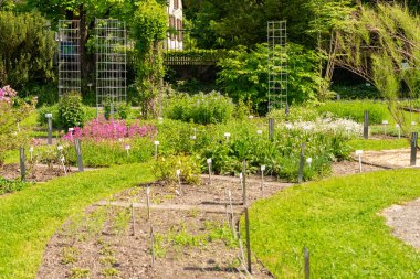 Saint Gallen, İsviçre, 18 Mayıs 2024 Botanik Bahçesi Baharı