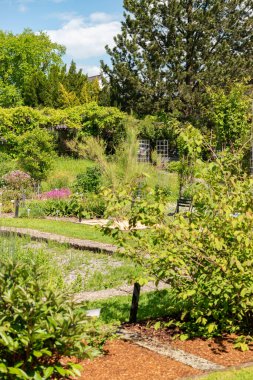 Saint Gallen, İsviçre, 19 Mayıs 2024 Güneşli bir günde botanik bahçesinde farklı tarlalar