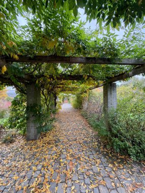 Saint Gallen, İsviçre, 19 Ekim 2024 Botanik Bahçesi 'nde farklı tarlalar bulunan renkli sonbahar havası