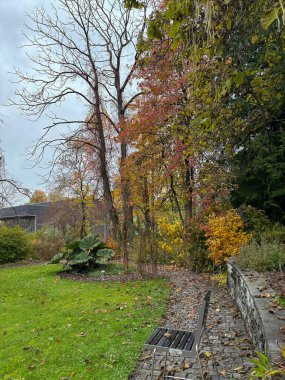 Saint Gallen, İsviçre, 19 Ekim 2024 Botanik Bahçesi 'nde farklı tarlalar bulunan renkli sonbahar havası