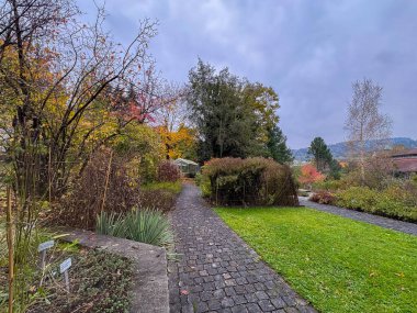 Saint Gallen, İsviçre, 19 Ekim 2024 Botanik Bahçesi 'nde farklı tarlalar bulunan renkli sonbahar havası