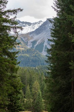 Arosa, İsviçre, 12 Ekim 2024 Sonbaharda ağaçlı Alp manzarası