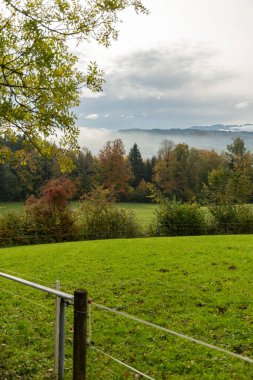 Saint Gallen, İsviçre, 19 Ekim 2024 Sonbaharda yeşil bir tepeden sisli bir vadiye bakın.