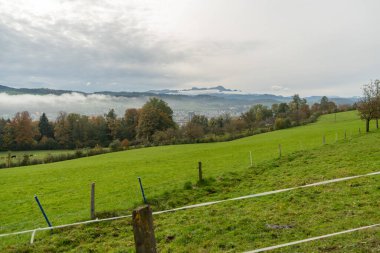 Saint Gallen, İsviçre, 19 Ekim 2024 Sonbaharda yeşil bir tepeden sisli bir vadiye bakın.