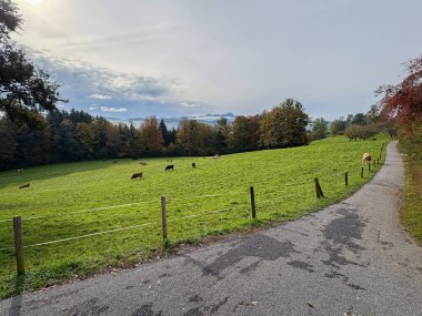 Saint Gallen, İsviçre, 19 Ekim 2024 Tozlu vadi Sonbaharda yeşil bir tepeden görüldü