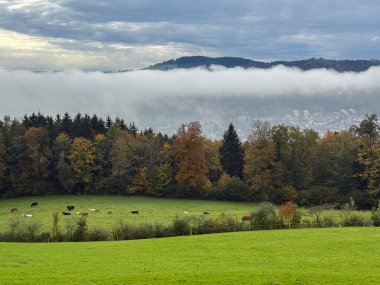 Saint Gallen, İsviçre, 19 Ekim 2024 Sonbaharda yeşil bir tepeden görülen bir vadi üzerindeki toz.