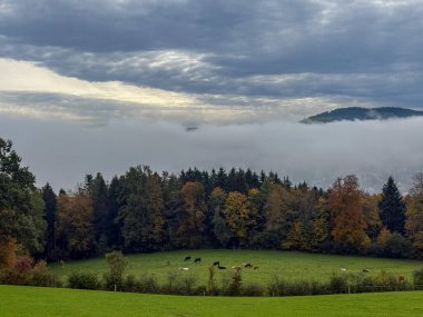 Saint Gallen, İsviçre, 19 Ekim 2024 Sonbaharda yeşil bir tepeden görülen bir vadi üzerindeki toz.