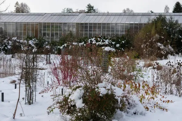 Saint Gallen, İsviçre, 23 Kasım 2024 Botanik Bahçesinde Kış Harikalar Diyarı