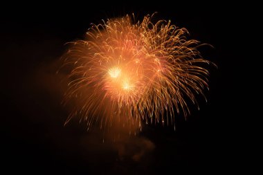 Vaduz, Lihtenştayn, 15 Ağustos 2024 Ulusal bayram kutlamaları sırasında havai fişek gösterisi