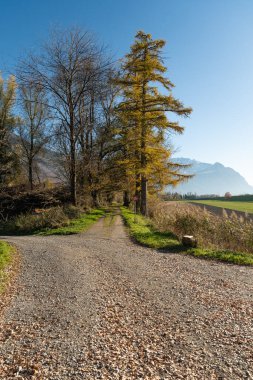 Schaan, Liechtenstein, November 16, 2024 Rural and alpine scenery during a bike tour on a sunny day clipart