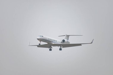 Zürih, İsviçre, 19 Ocak 2025 N-25CP Gulfstream V uçağı, Davos 'taki dünya ekonomik forumu sırasında sisli bir günde 14. piste iniyor.