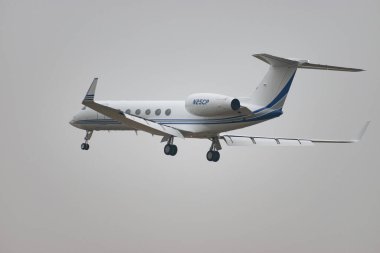 Zürih, İsviçre, 19 Ocak 2025 N-25CP Gulfstream V uçağı, Davos 'taki dünya ekonomik forumu sırasında sisli bir günde 14. piste iniyor.