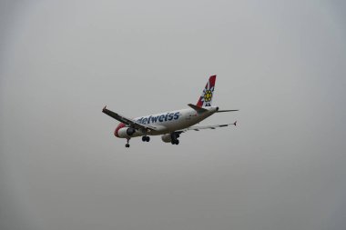 Zürih, İsviçre, 19 Ocak 2025 HB-JJL Edelweiss Airbus A320-214 çok sisli bir günde 14. piste iniyor.