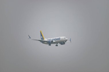 Zürih, İsviçre, 19 Ocak 2025 TF-ICJ İzlanda Boeing 737-8 MAX uçağı çok sisli bir günde 14. piste iniyor.