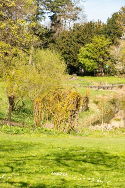 Zürih, İsviçre, 8 Nisan 2025 Baharın güneşli bir gününde botanik bahçesinden alınan izlenim