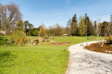 Zürih, İsviçre, 8 Nisan 2025 Baharın güneşli bir gününde botanik bahçesinden alınan izlenim