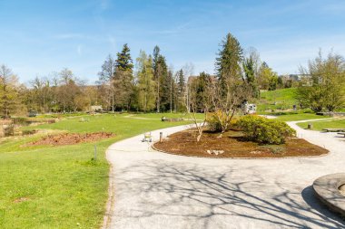 Zürih, İsviçre, 8 Nisan 2025 Baharın güneşli bir gününde botanik bahçesinden alınan izlenim