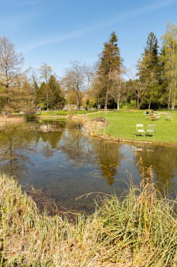 Zürih, İsviçre, 8 Nisan 2025 Baharın güneşli bir gününde botanik bahçesinden alınan izlenim