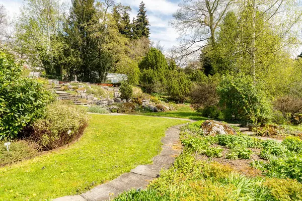 Saint Gallen, İsviçre, 19 Nisan 2025 Baharın güneşli bir gününde botanik bahçesindeki farklı tarlalar