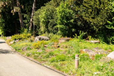 Zürih, İsviçre, 1 Mayıs 2025 Baharın güneşli bir gününde botanik bahçesindeki farklı tarlalar