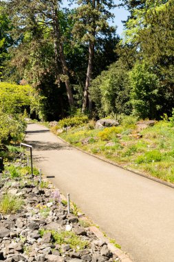 Zürih, İsviçre, 1 Mayıs 2025 Baharın güneşli bir gününde botanik bahçesindeki farklı tarlalar