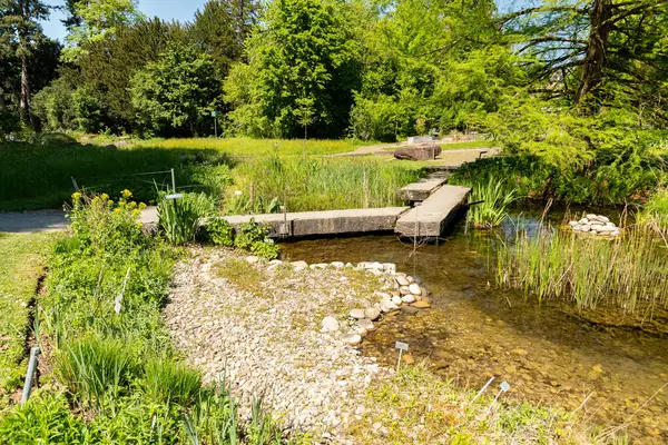 Zürih, İsviçre, 1 Mayıs 2025 Baharın güneşli bir gününde botanik bahçesindeki farklı tarlalar