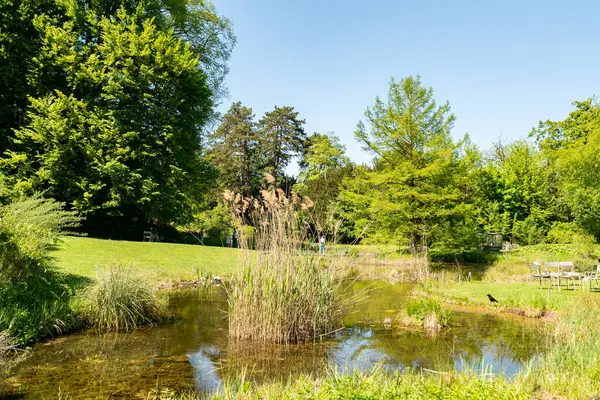 Zürih, İsviçre, 1 Mayıs 2025 Baharın güneşli bir gününde botanik bahçesindeki farklı tarlalar