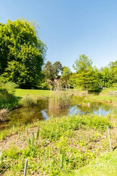 Zürih, İsviçre, 1 Mayıs 2025 Baharın güneşli bir gününde botanik bahçesindeki farklı tarlalar