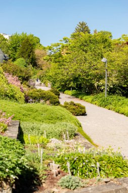 Saint Gallen, İsviçre, 13 Mayıs 2025 Güneşli bir günde botanik bahçesinde farklı tarlalar sergilenir.