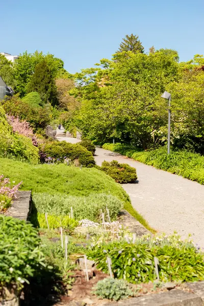 Saint Gallen, İsviçre, 13 Mayıs 2025 Güneşli bir günde botanik bahçesinde farklı tarlalar sergilenir.