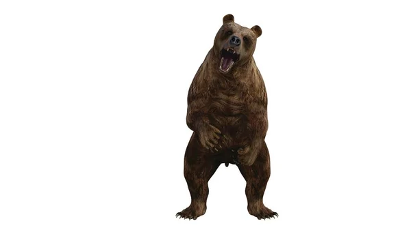 Рендеринг Фэнтези Медведя Белом Фоне — стоковое фото