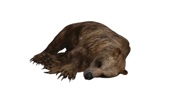 Візуалізація Фентезійного Ведмедя Ізольовано Білому Тлі — стокове фото