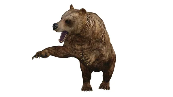 Рендеринг Фэнтези Медведя Белом Фоне — стоковое фото