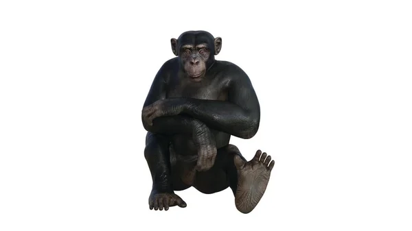黑猩猩的3D渲染 — 图库照片