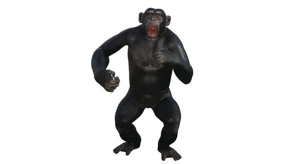 チンパンジーの3Dレンダリング — ストック写真