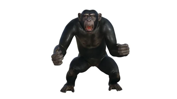 Şempanzenin Canlandırması — Stok fotoğraf