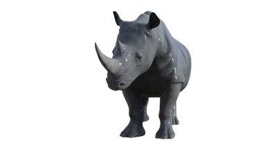 Gergedan hayvan çizimi 3D görüntüleme