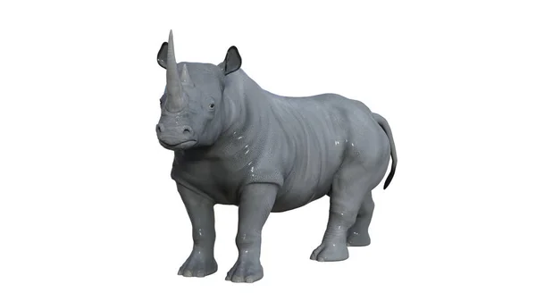 Rhinoceros Animal Illustration Rendering — Stock Photo, Image