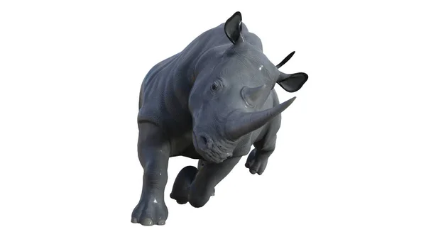 Rhinoceros Dierlijke Illustratie Rendering — Stockfoto